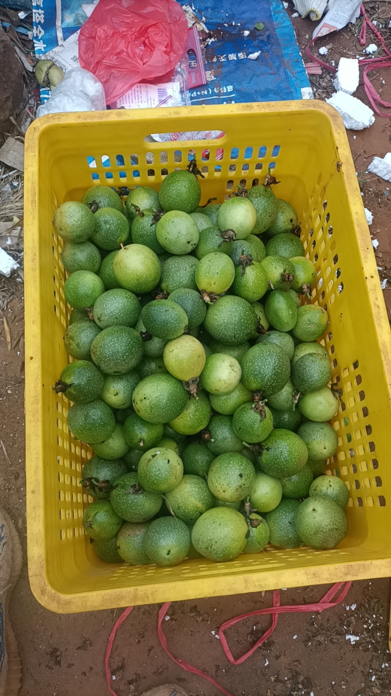 广东百香果钦蜜9号百香果，中大果多产地直供量大优惠
