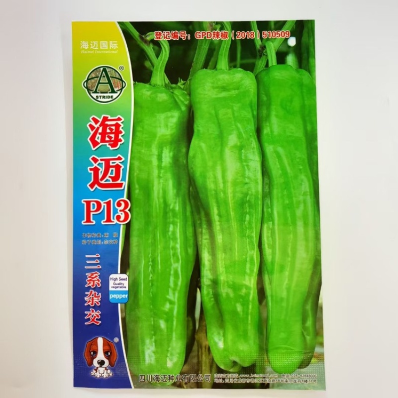海迈P13早熟牛角椒种子嫩绿色油皮辣椒种子