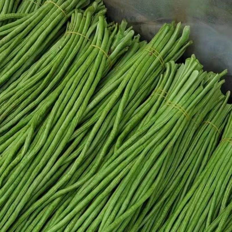 海南青豆角，质量好，价格优惠，一手货源，欢迎新老顾客前来