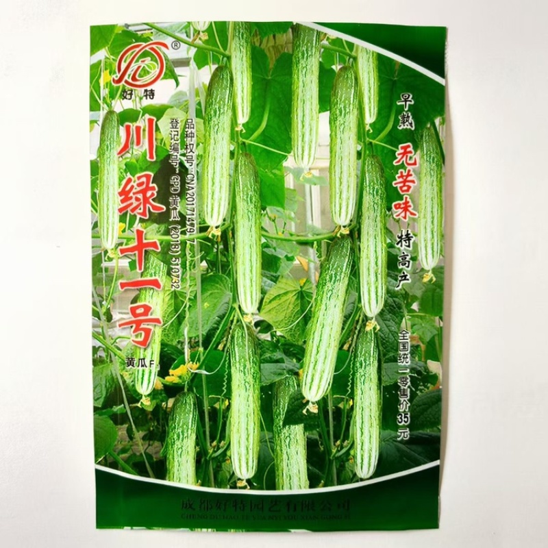 好特川绿11号黄瓜种子无苦味早熟强雌燕白黄瓜种籽