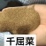 千屈菜种子水生植物对叶莲多年生宿根花草湿地鱼池河道庭院花