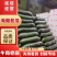 《推荐》海南优质冬瓜大量上市价格可议品质有保障