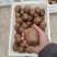 精品徐香猕猴桃各种规格品相大量出库价格合适