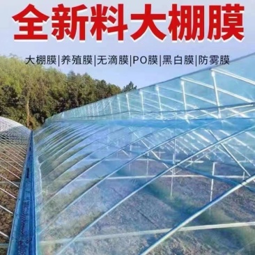 进口大棚膜无滴膜PO膜消雾加厚薄膜保温透明加厚种植塑料膜