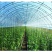 进口大棚膜无滴膜PO膜消雾加厚薄膜保温透明加厚种植塑料膜