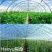 进口大棚膜无滴膜PO膜消雾加厚薄膜保温透明加厚种植塑料膜