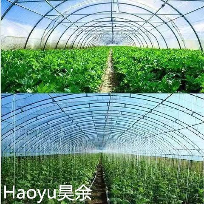 进口大棚膜无滴膜PO膜消雾加厚薄膜保温透明加厚种植塑料膜
