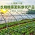 进口大棚膜无滴膜PO膜消雾加厚薄膜保温透明加厚种植塑料膜