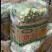 精品控绑油菜精品控绑油菜精品大棚油菜精品大棚油菜