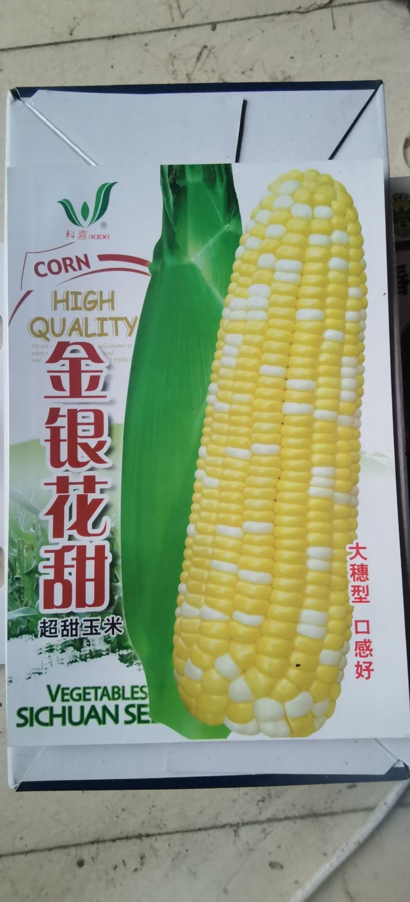 甜玉米种子博宝双色花甜玉米大穗早熟优质适应地域广