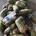 新绿源种植农民专业合作社种植的青萝卜、黄夢卜、红心萝卜