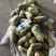 新绿源种植农民专业合作社种植的青萝卜、黄夢卜、红心萝卜