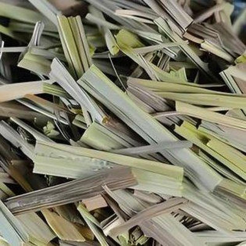 香茅草