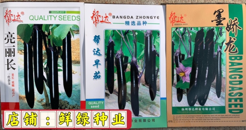 扬州美女水果型黄瓜瓜长24厘米肉绿刺少把短