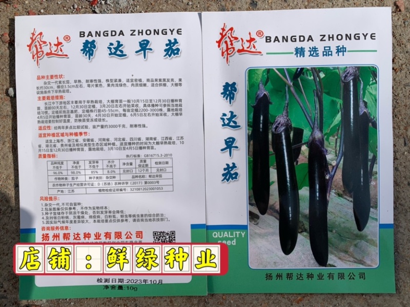 扬州美女水果型黄瓜瓜长24厘米肉绿刺少把短