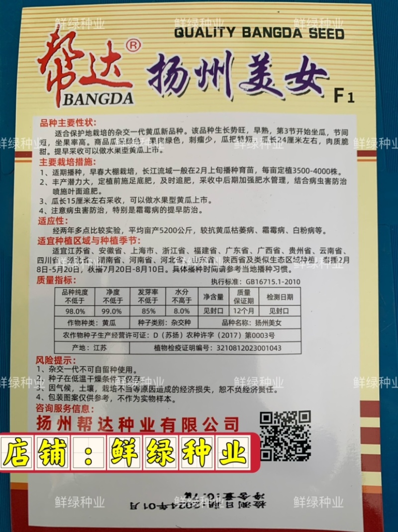 扬州美女水果型黄瓜瓜长24厘米肉绿刺少把短