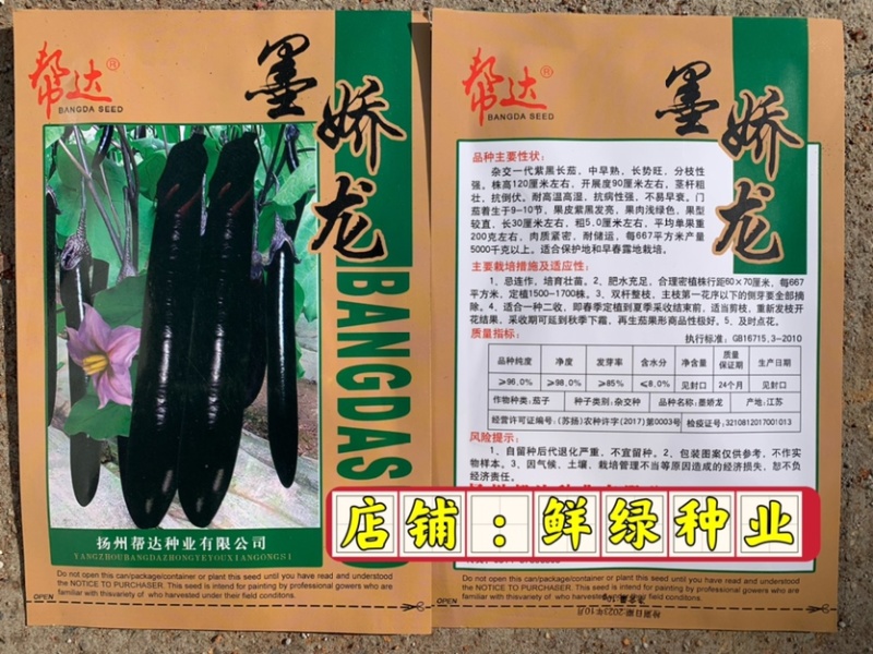 扬州美女水果型黄瓜瓜长24厘米肉绿刺少把短