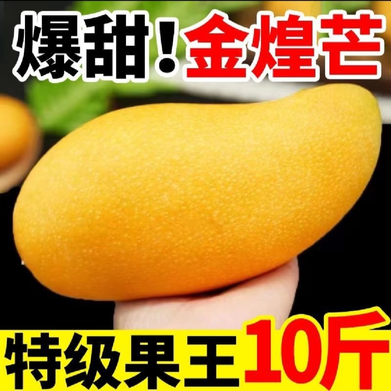 广西百色大金煌芒精品货一手货源可视频看货基地直发保质保量