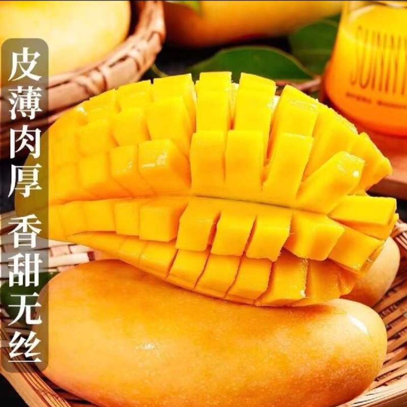 广西百色大金煌芒精品货一手货源可视频看货基地直发保质保量