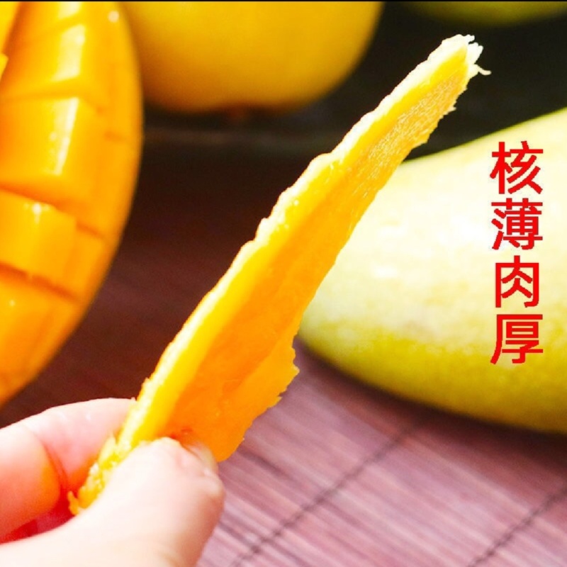广西百色大金煌芒精品货一手货源可视频看货基地直发保质保量