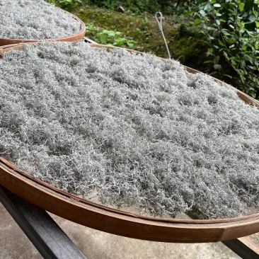 湖南湘西滕茶，一手货源，场地批发。