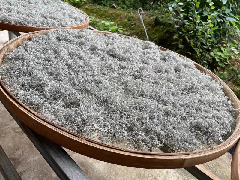 湖南湘西滕茶，一手货源，场地批发。