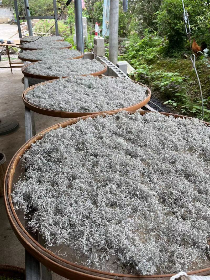 湖南湘西滕茶，一手货源，场地批发。