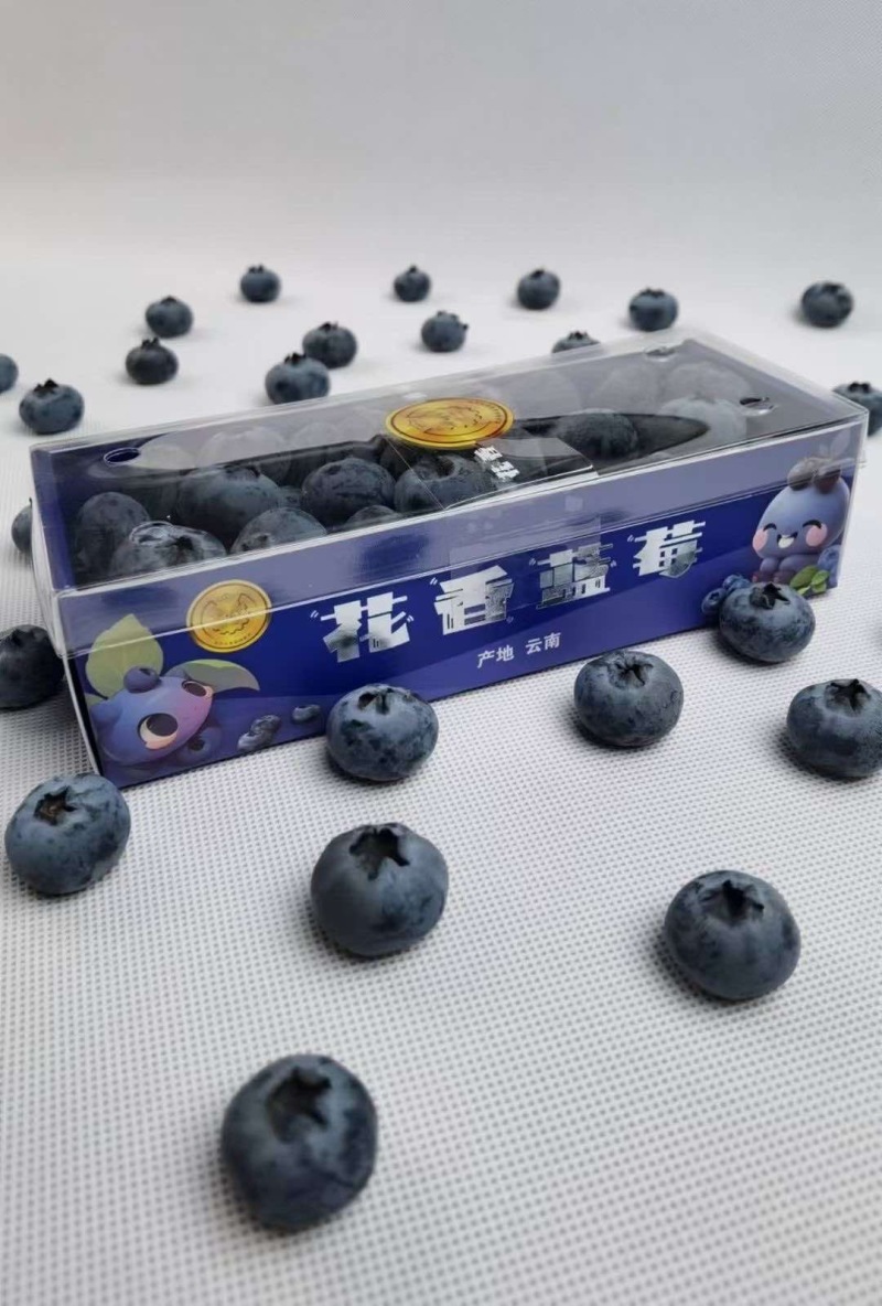 云南蓝莓，电商，市场