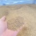 果渣苹果渣梨渣柑橘渣牛羊猪精补饲料适口性好易吸收新鲜无杂