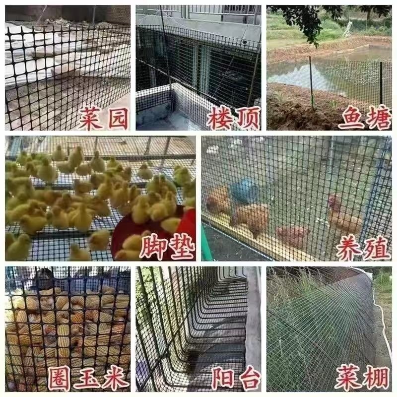 养鸡网塑料养殖网圈地网土工格栅护栏网家禽养殖围栏网