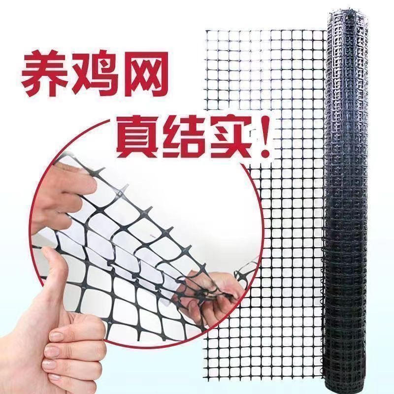 养鸡网塑料养殖网圈地网土工格栅护栏网家禽养殖围栏网