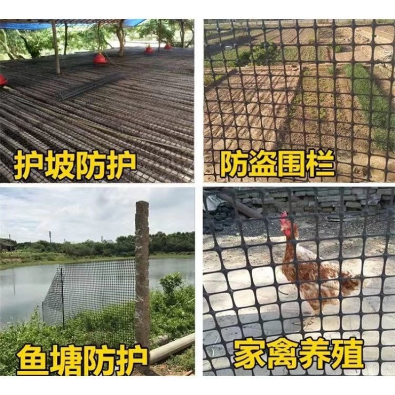 养鸡网塑料养殖网圈地网土工格栅护栏网家禽养殖围栏网
