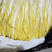 精品韭黄价格美丽质量有保障全国发货可视频看货