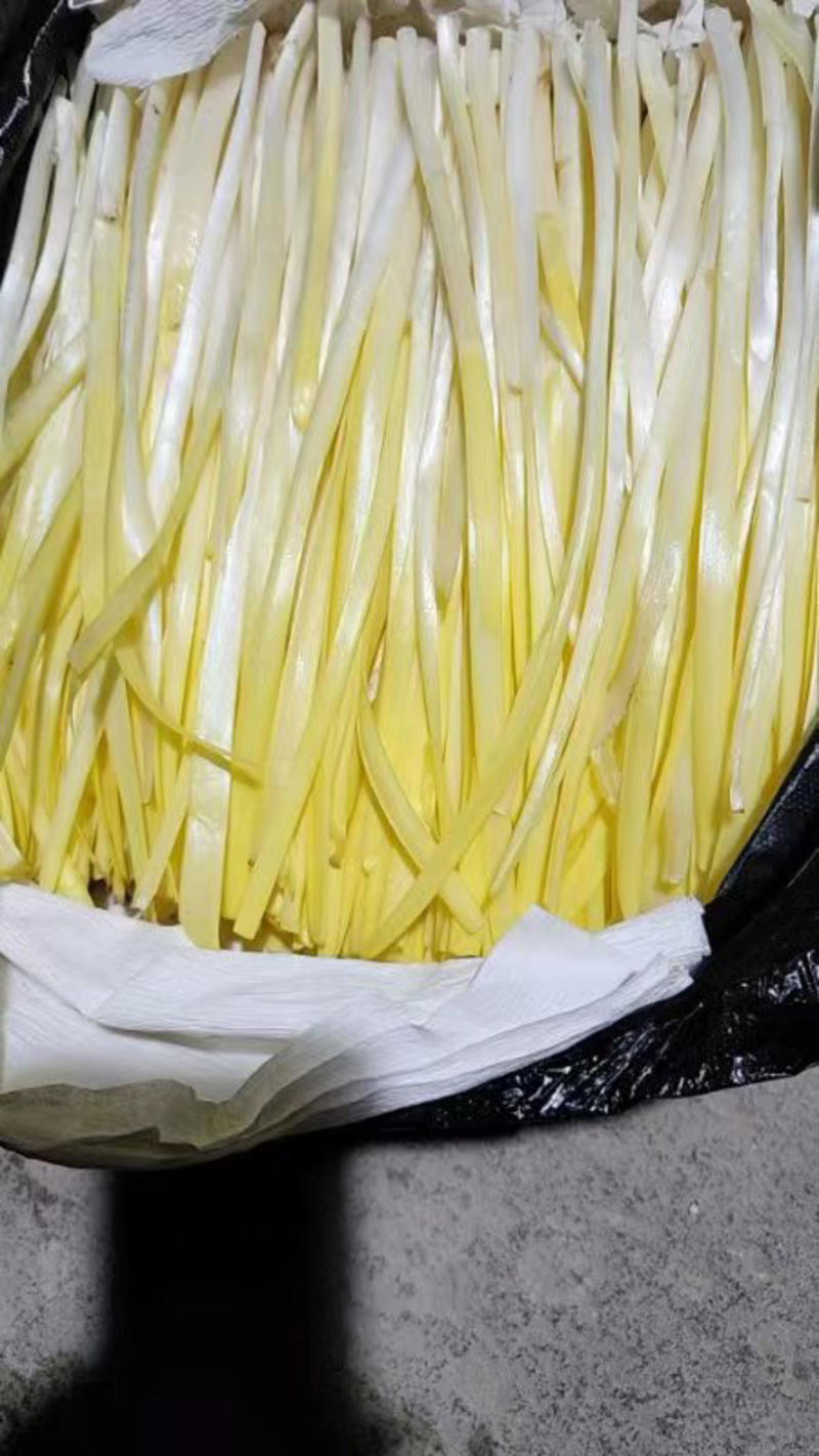 精品韭黄价格美丽质量有保障全国发货可视频看货