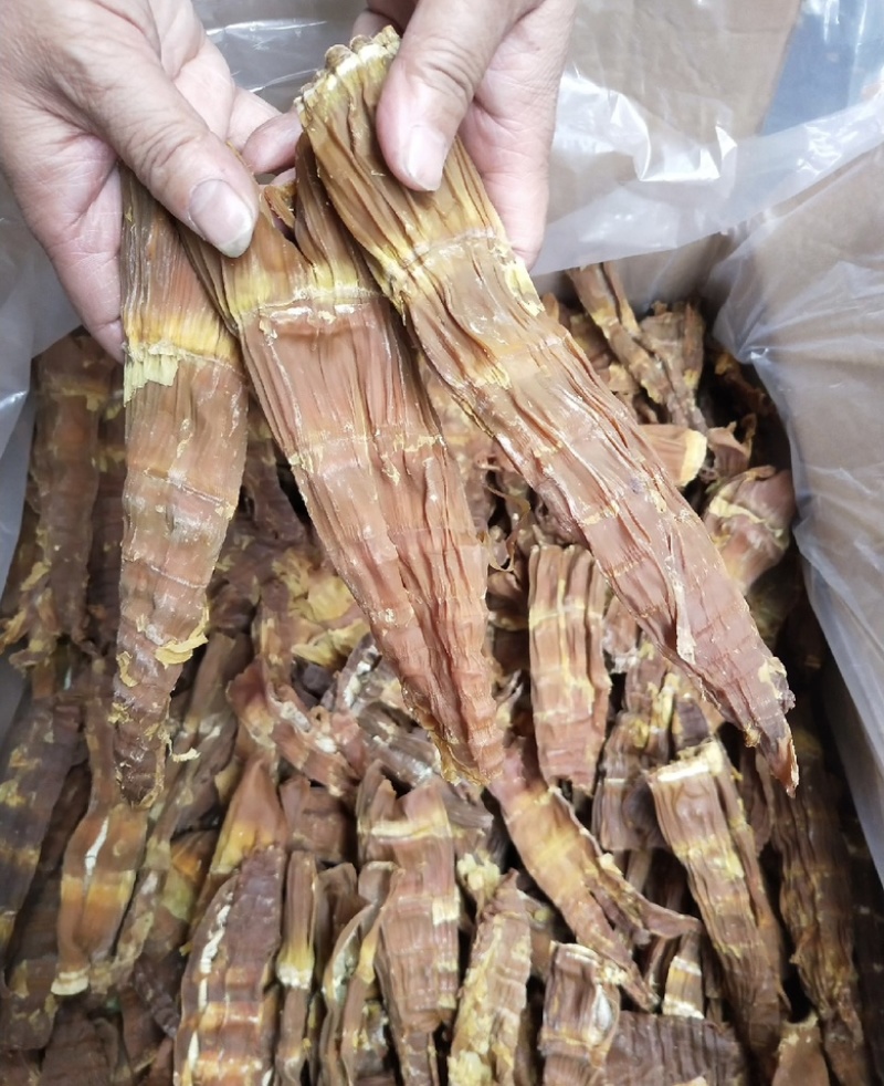 云南西双版纳.干巴笋大量出货