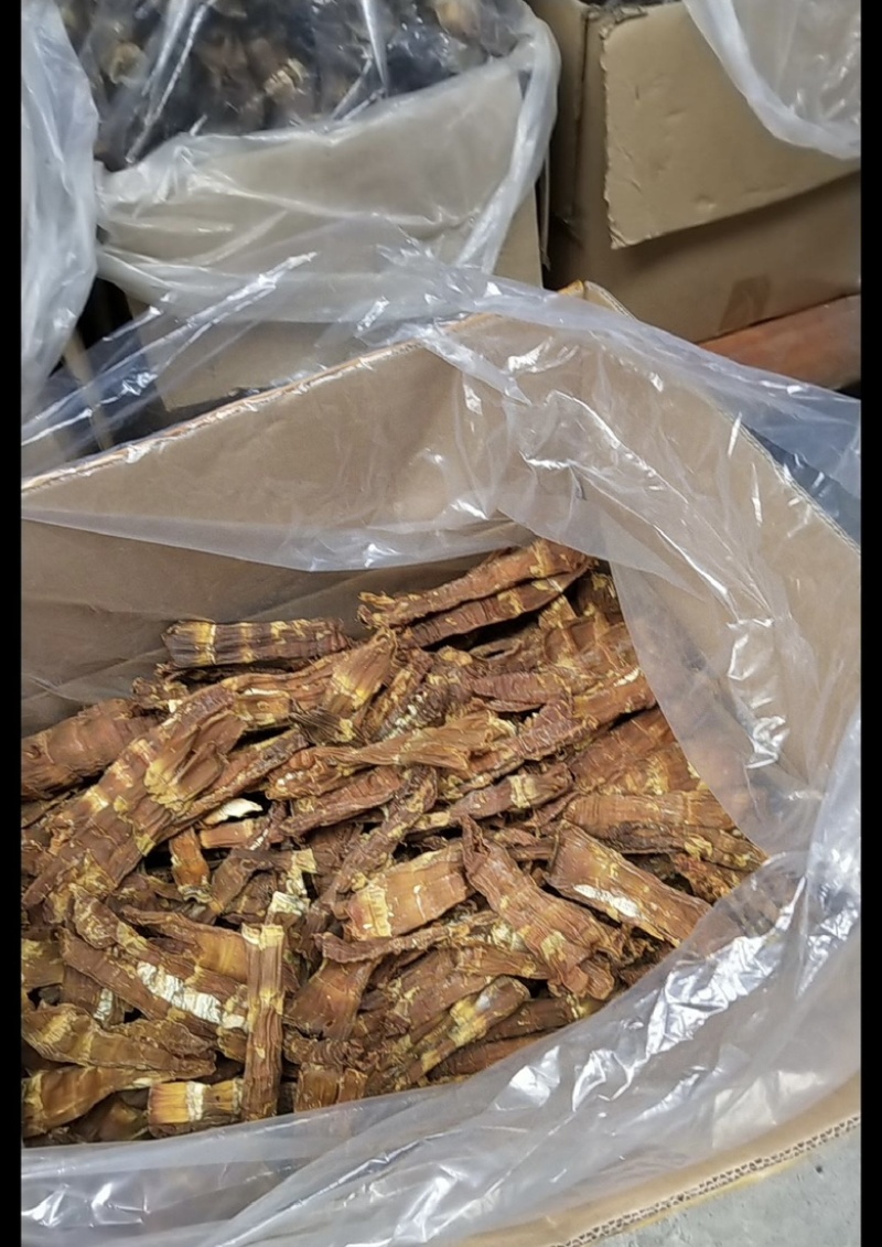 云南西双版纳.干巴笋大量出货