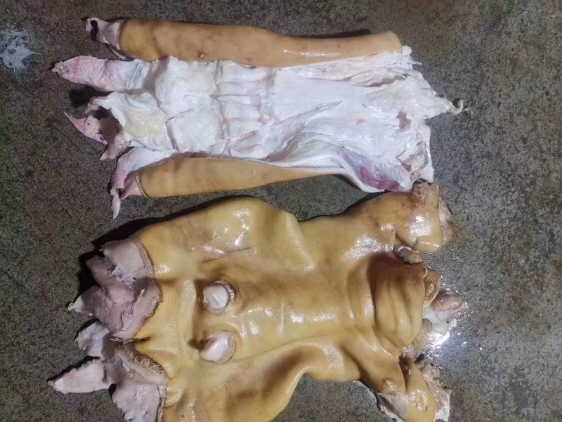 滨州优质纯干火烧毛牛蹄，自家工厂养殖场一体化流程