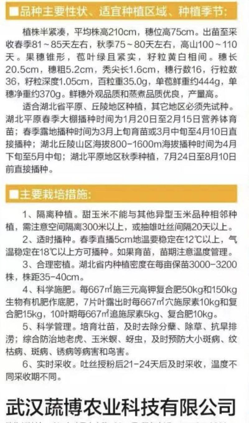 甜玉米种子博宝双色花甜玉米大穗早熟优质适应地域广