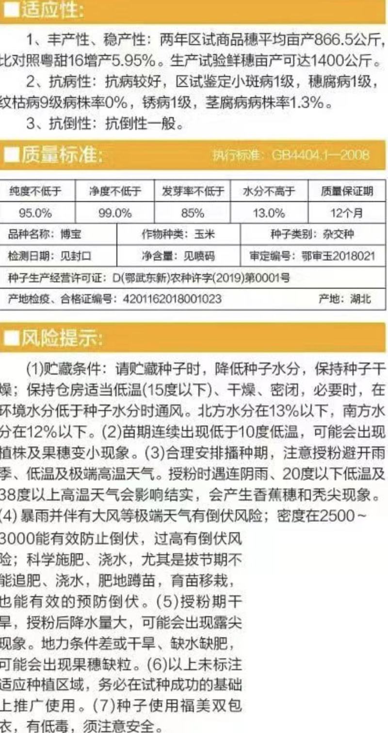 甜玉米种子博宝双色花甜玉米大穗早熟优质适应地域广