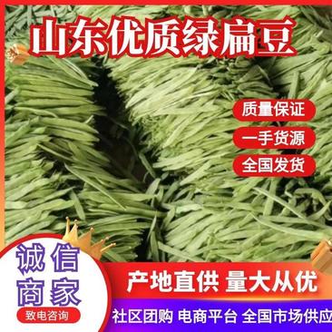 【推荐】莘县产地绿扁豆大量上市可视频看货产地直发保质保量