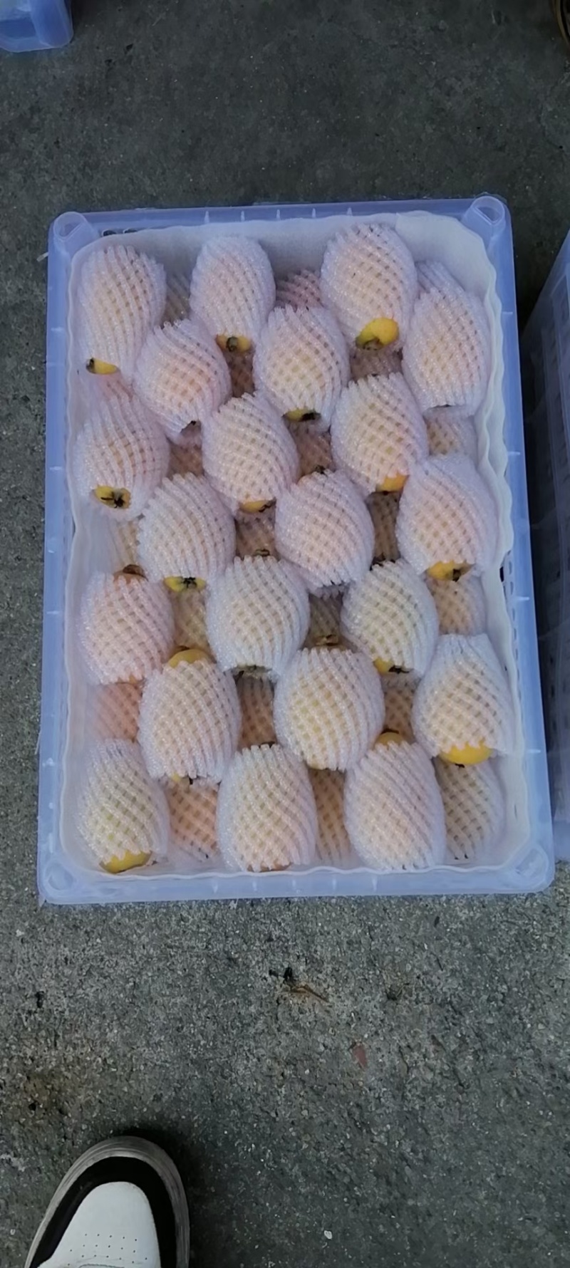 枇杷大量上市