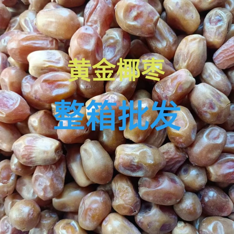 伊拉克黄金椰枣