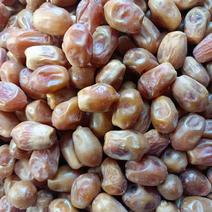 伊拉克黄金椰枣一手货源整件批发
