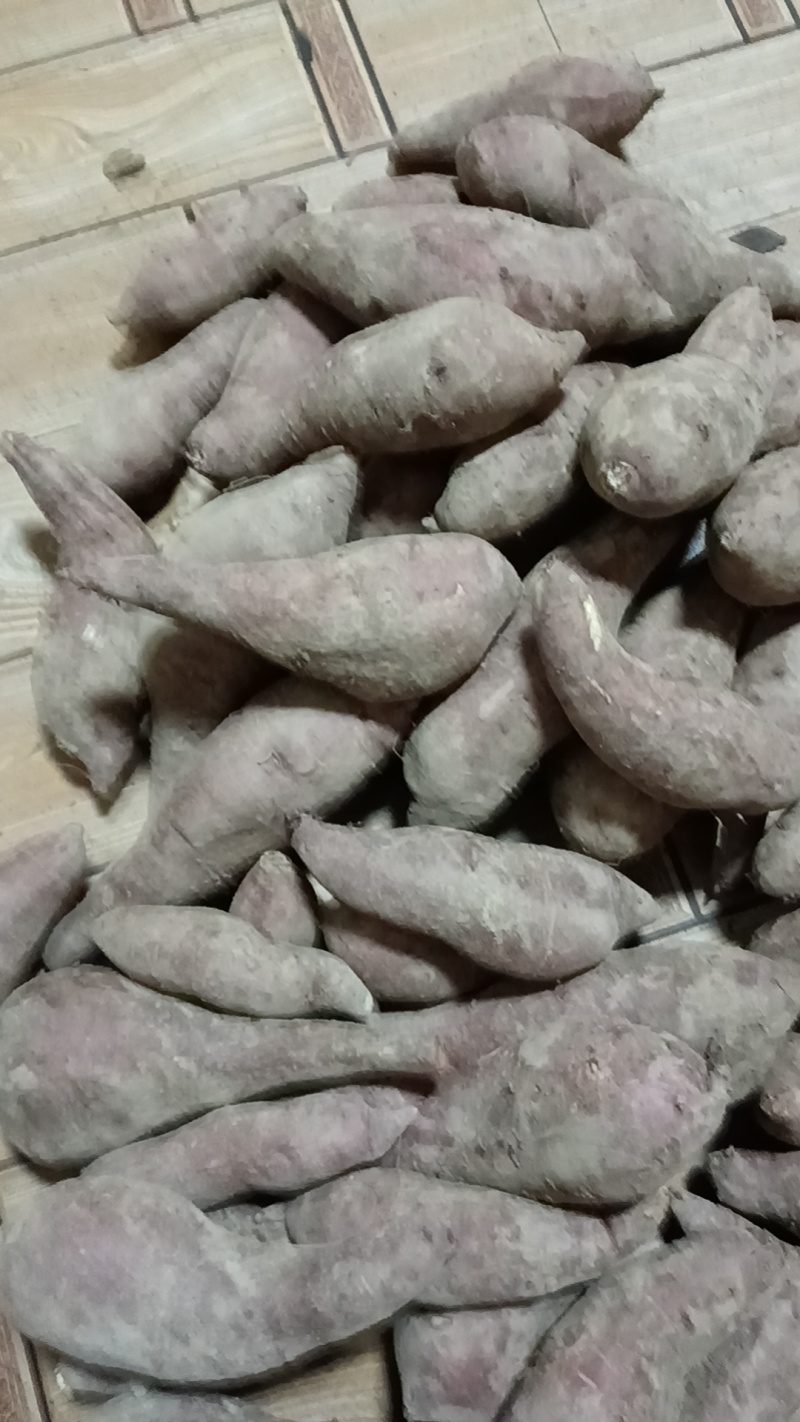 西瓜红薯，去年的货有几十万斤