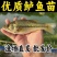 鲈鱼苗全国发货量大从优送货上门诚信经营
