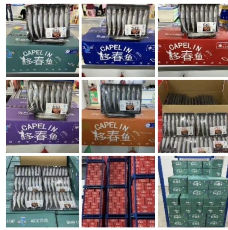 笔管鱼海兔籽乌