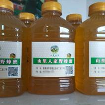 江西吉安大山纯正土蜂蜜大量供应各种规格价格美丽