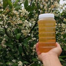 推荐江西吉安大山纯正土蜂蜜大量供应各种规格价格美丽