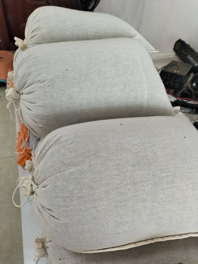 优质紫苏种子