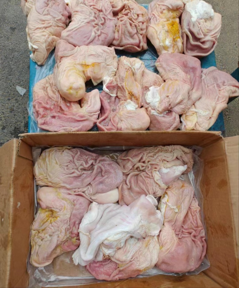 国产纯干肚新货手续齐全厂家直发量大价优